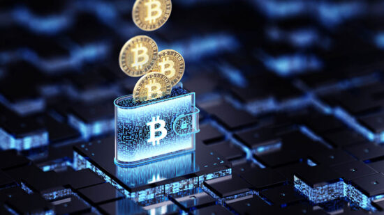 Crypto Wallet - Cyber Security Concepts. Wide