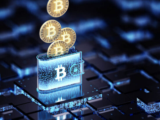 Crypto Wallet - Cyber Security Concepts. Wide